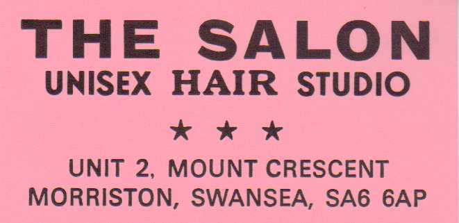 the salon hair