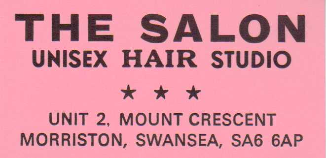 the salon hair