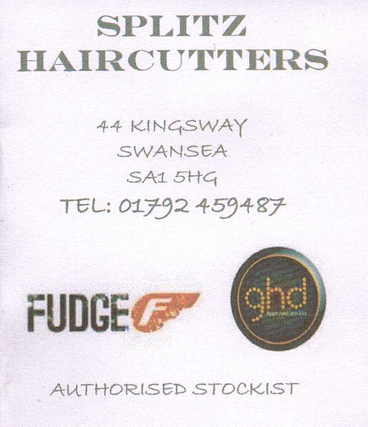 splitz hairdressers swansea