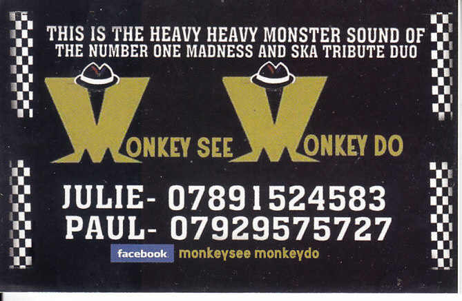 monkey see monkey do swansea band