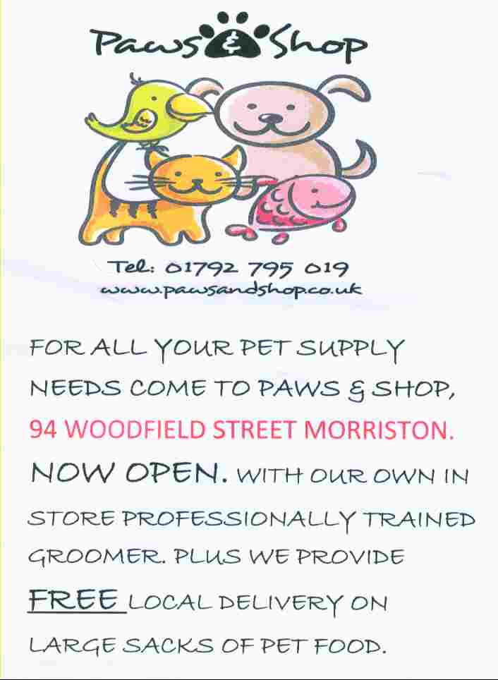 swansea pet shop